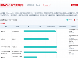 今天搜索发现这个【加科思JAB-30355片】针对TP53 Y220C突变
