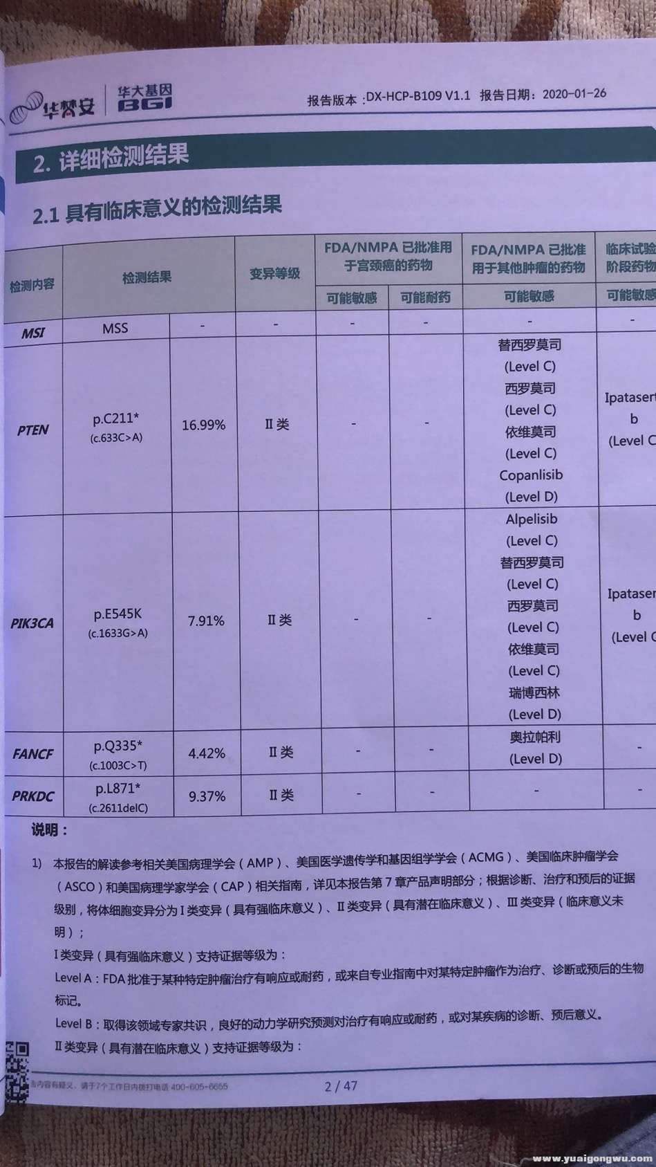 基因检测