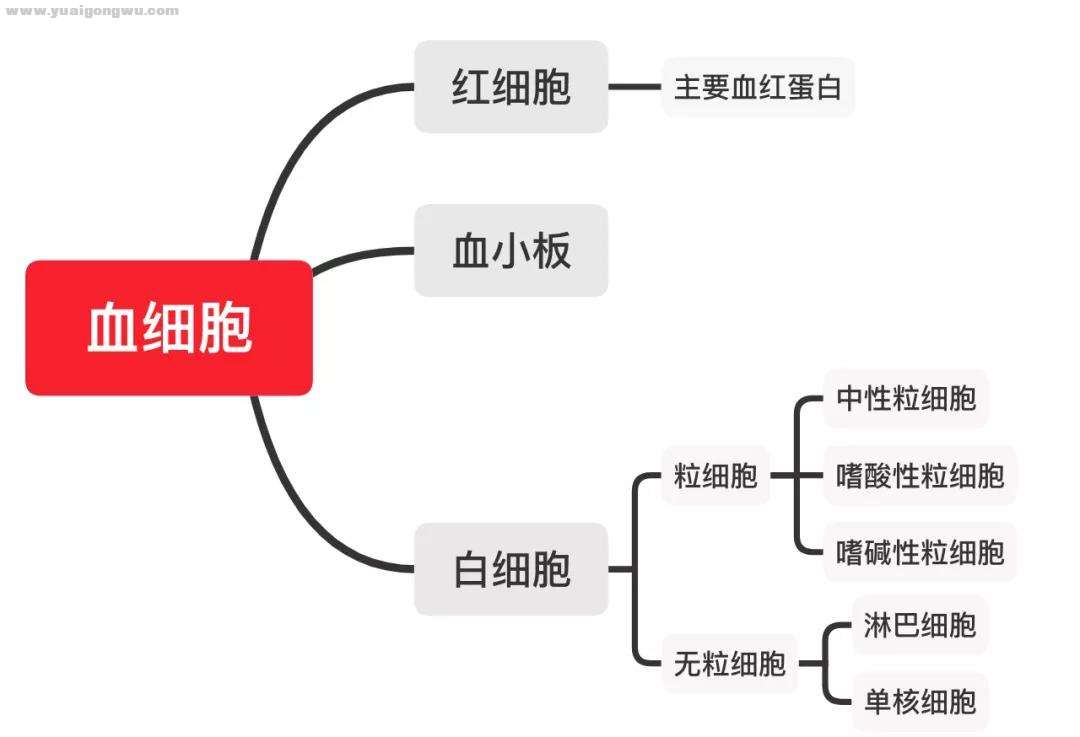 微信图片_20210201173635.jpg