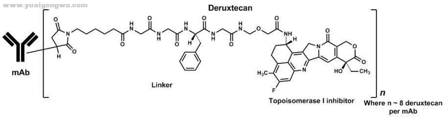 deruxtecan.jpg