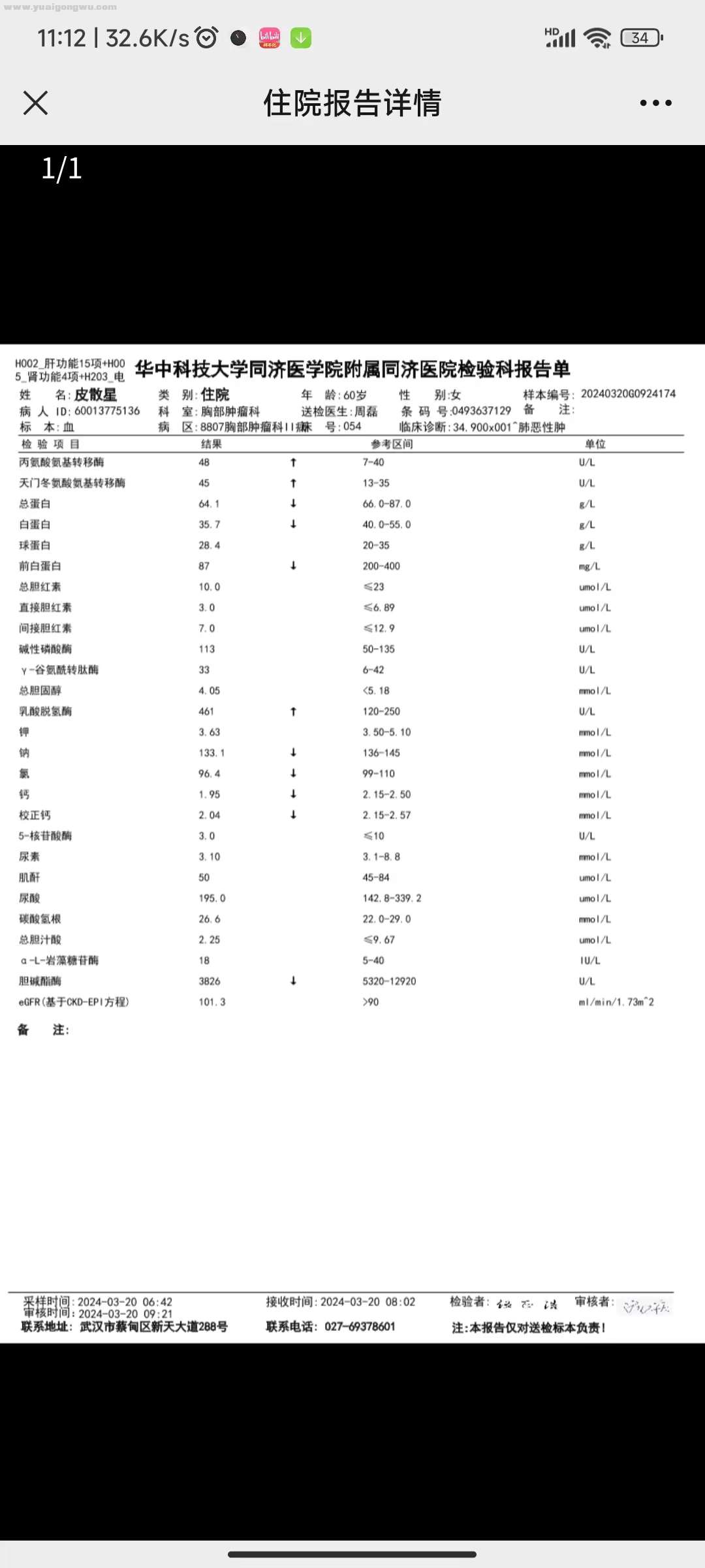 肝功能肾功能.jpg